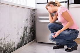 Why You Should Choose Our Mold Remediation Services in Fairlea, WV